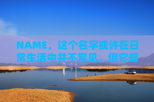 NAME，这个名字或许在日常生活中并不常见，但它却在某些领域里扮演着重要的角色。今天，让我们一起来探索这个名字背后的故事和意义